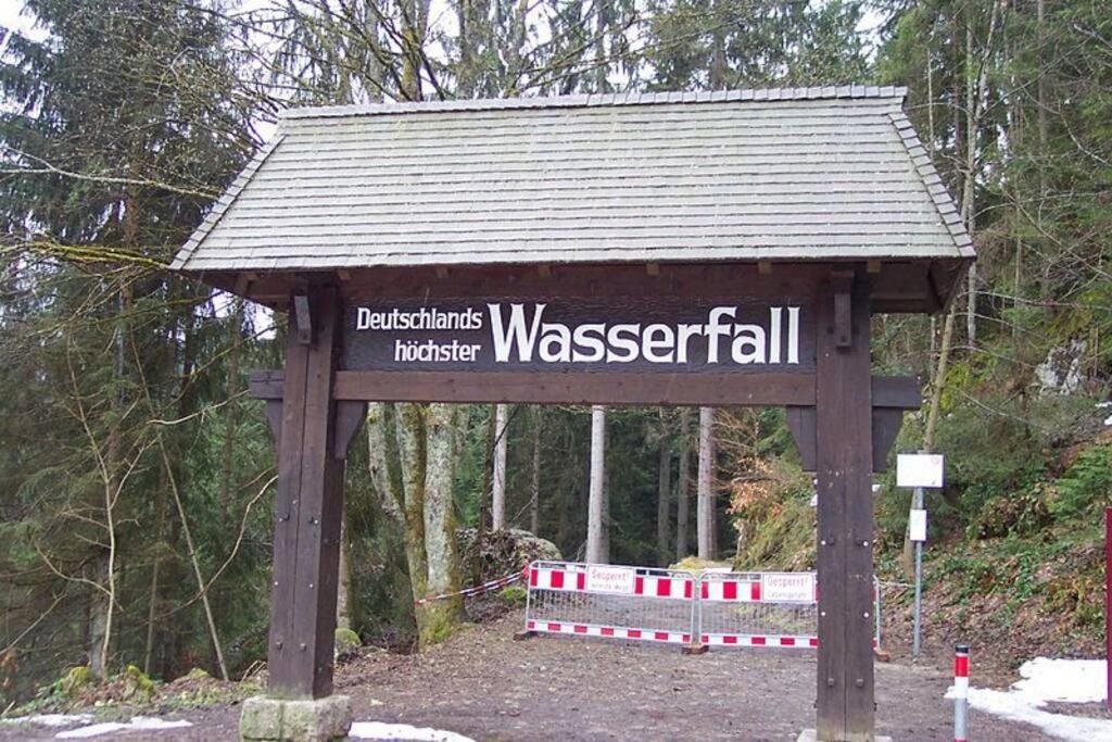 Two-Bedroom Apartment Near Triberg Waterfall Triberg im Schwarzwald Exterior photo